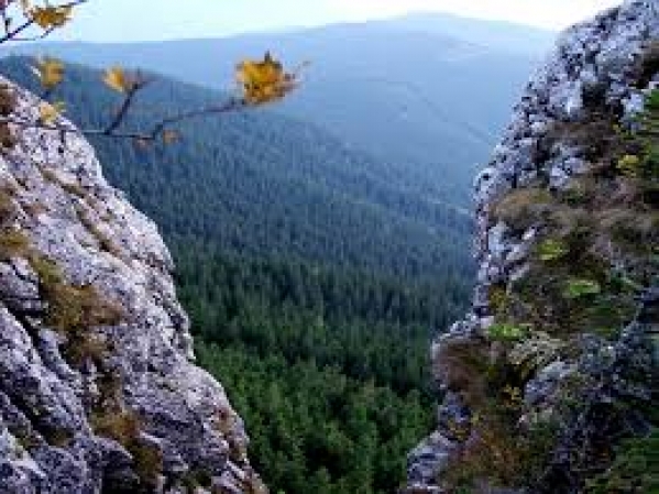 Rezervatia paleontologica si geologica Piatra Pinului si Piatra Soimului poza