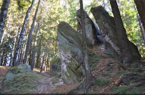Rezervatia paleontologica si geologica Piatra Pinului si Piatra Soimului poza