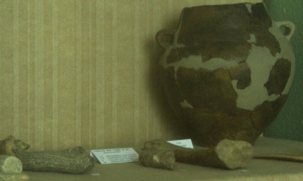 Muzeul de Istorie  poza