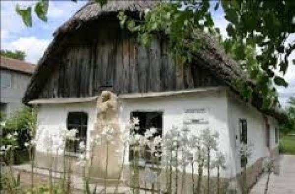 Casa Memoriala Ady Endre poza