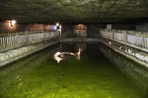 Piscina Cu Apa Sarata De La Cacica poza