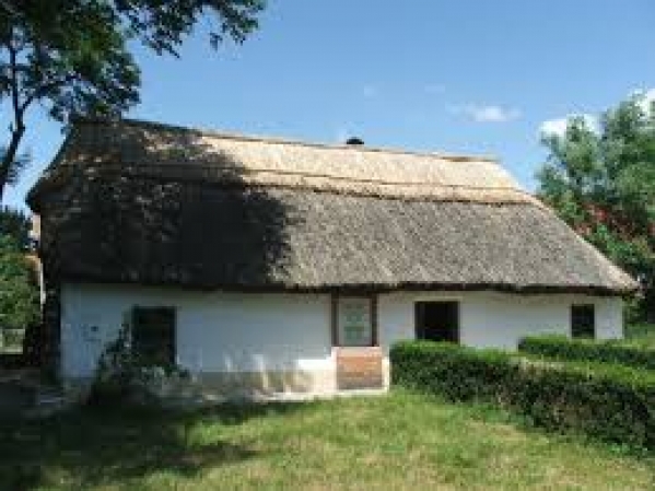 Casa Memoriala Ady Endre poza