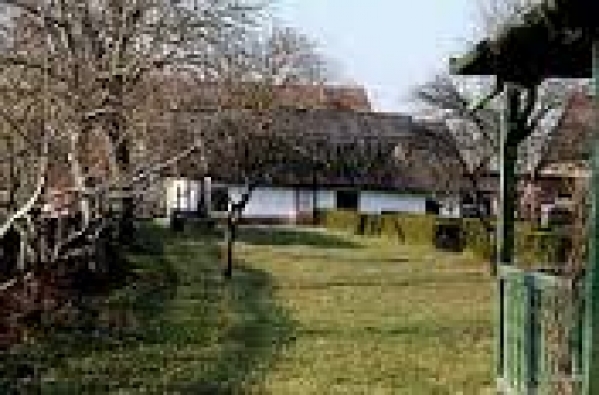 Casa Memoriala Ady Endre poza