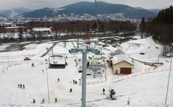 Partia Soimul Din Gura Humorului poza