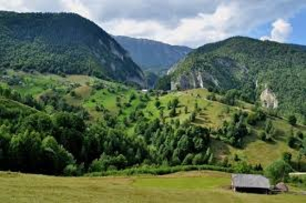 Rezervatia Naturala Padurea Noroieni poza