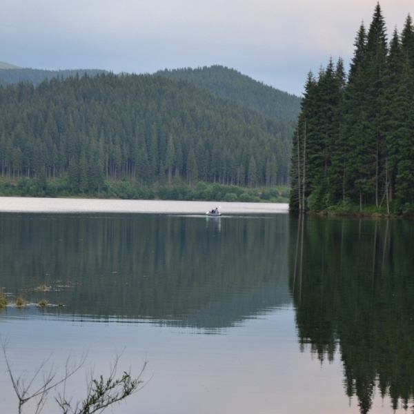 Lacul Bolboci poza