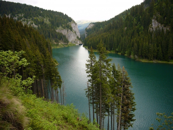 Lacul Bolboci poza