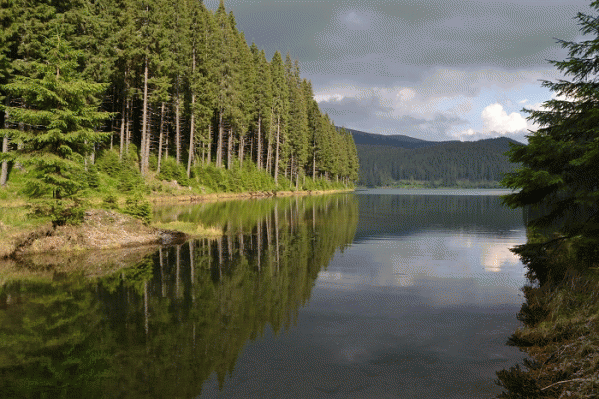 Lacul Bolboci poza