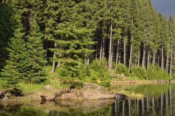 Lacul Bolboci poza