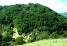 Rezervatia Naturala Piatra Andreaua poza