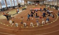 Complexul Sportiv National Lia Manoliu poza