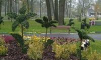 Parcul Tineretului poza