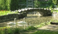 Parcul Cismigiu poza