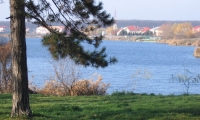 Lacul Mogosoaia poza