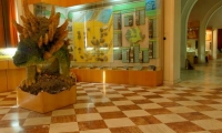 Muzeul National De Geologie  poza