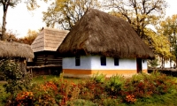 Muzeul National Al Satului Dimitrie Gusti poza