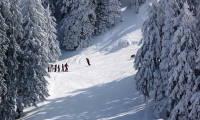 Partia Stadion Din Poiana Brasov poza