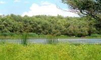 Lacul Pochina poza