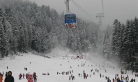 Partia Bradul Din Poiana Brasov poza