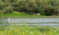 Lacul Pochina poza