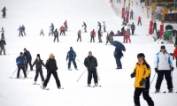 Partia Bradul Din Poiana Brasov poza