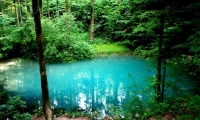 Lacul Dracului poza