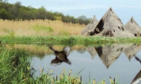 Lacul Comana poza