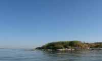 Insula Popina poza