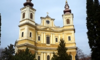 Bazilica Romano-Catolica Din Oradea poza