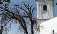 Biserica Fortificata Unitariana Din Arcus poza