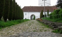 Biserica Reformata Fortificata Sfantu Gheorghe poza