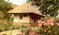 Casa Memoriala Ecaterina Teodoroiu poza