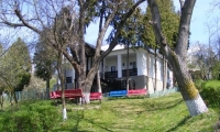 Casa Memoriala Ion Borcea poza