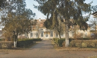 Castelul Teleki Dumbravioara poza