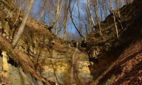 Cascadele De Pe Treznea poza