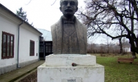 Casa Memoriala Vasile Alecsandri poza