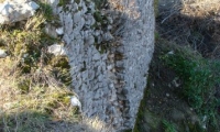 Cetatea Carasova poza