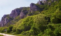 Cheile Rudariei poza