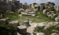 Cetatea Valcau poza