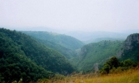 Cetatea Carasova poza