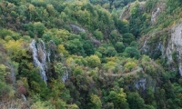 Cheile Costesti poza