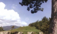 Cetatea Dacica De La Batca Doamnei poza