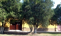 Muzeul De Stiinte Naturale Tinca poza