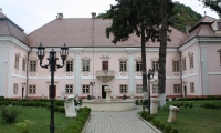 Palatul Magna Curia poza