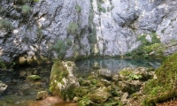 Pestera Izbucul Cotetul Dobrestilor poza
