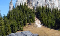 Piatra Singuratica poza