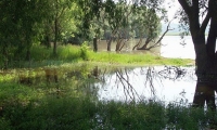 Parcul Natural Lunca Joasa A Prutului Inferior poza