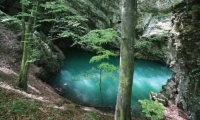 Parcul National Semenic-Cheile Carasului poza