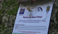 Pestera De Dupa Carsa poza