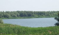 Parcul Natural Lunca Joasa A Prutului Inferior poza